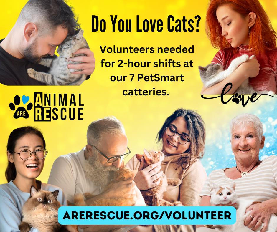 ARE Animal Rescue Facebook ad: Volunteer Today