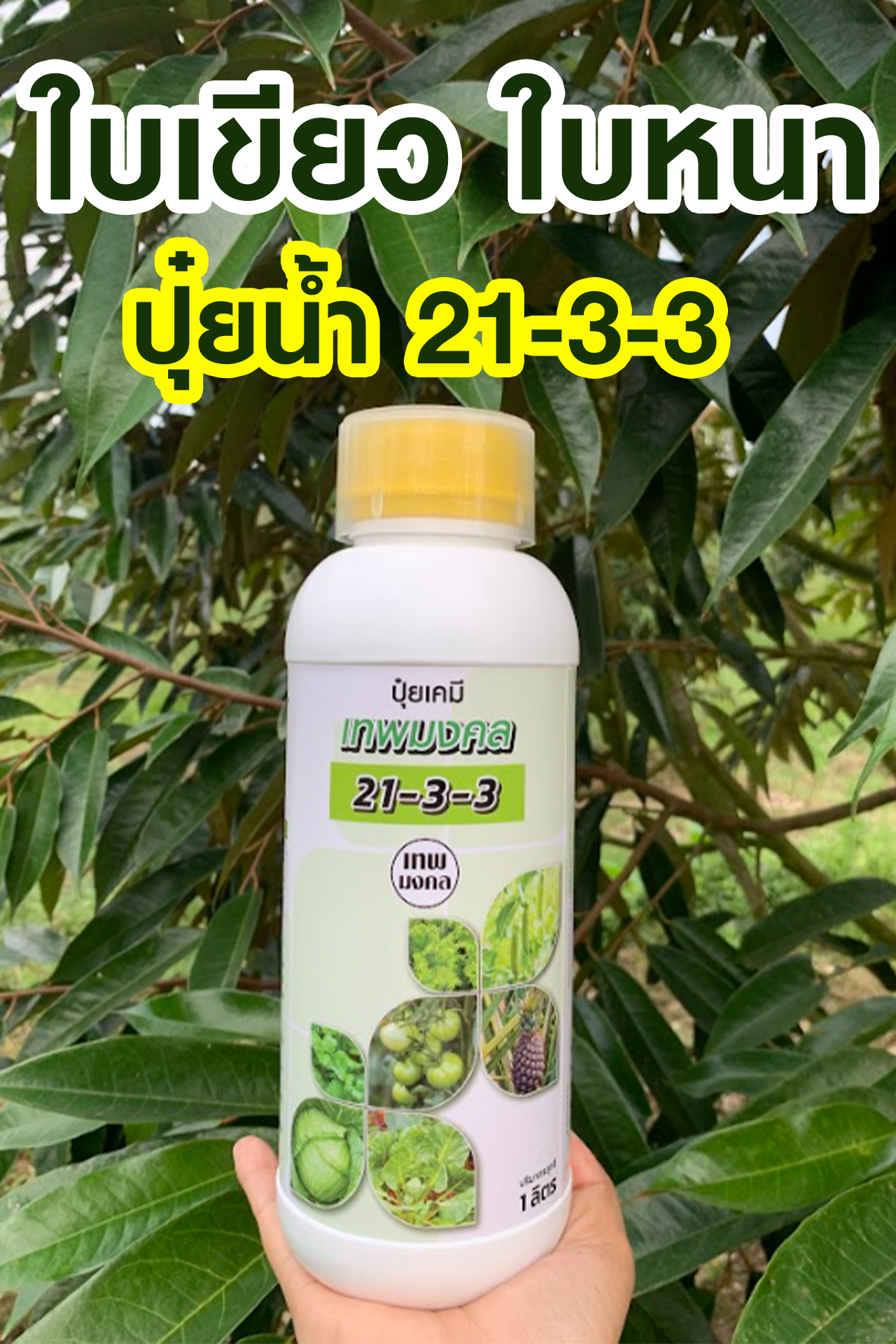 ปุ๋ย ตราเทพมงคล Facebook ad