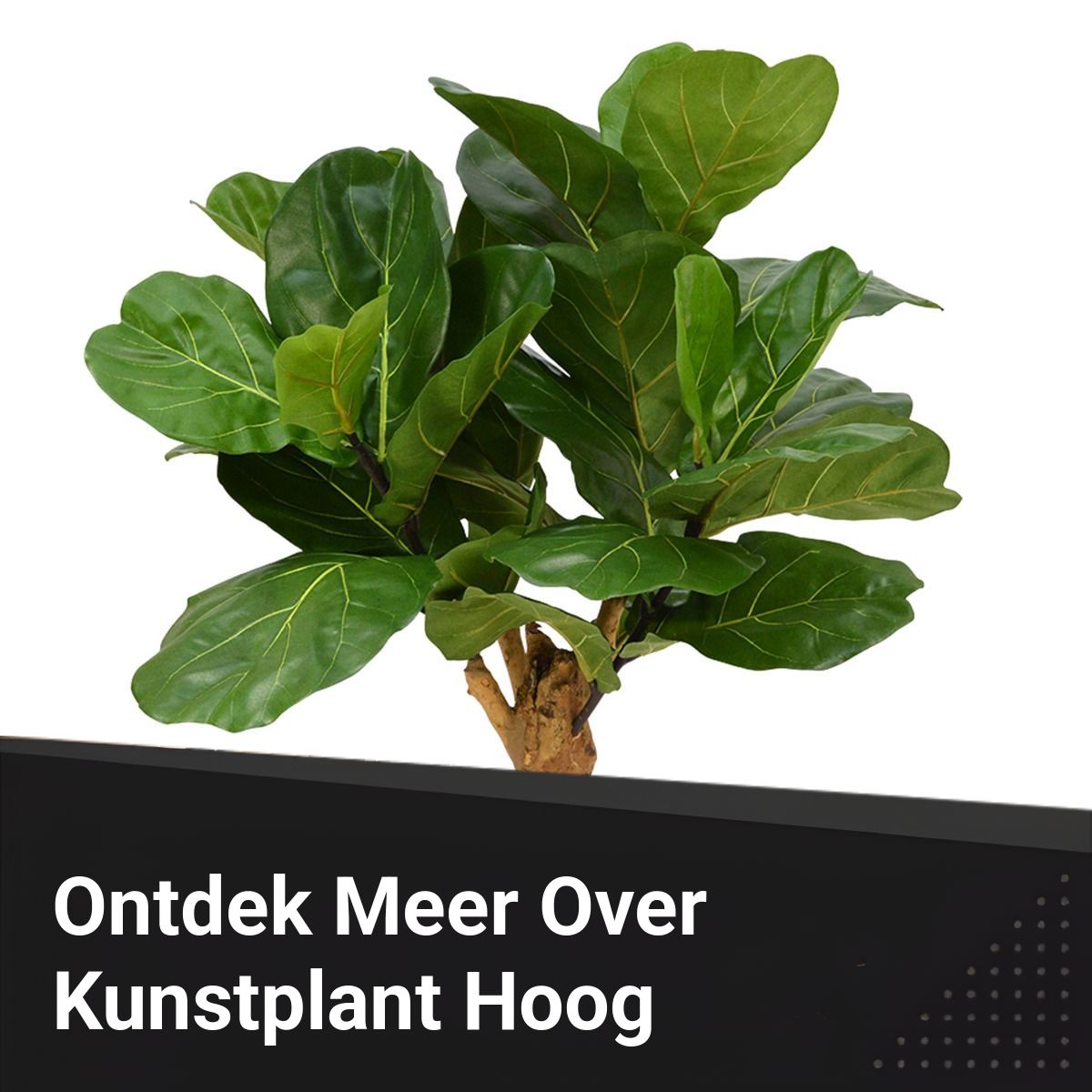Orboto Facebook ad