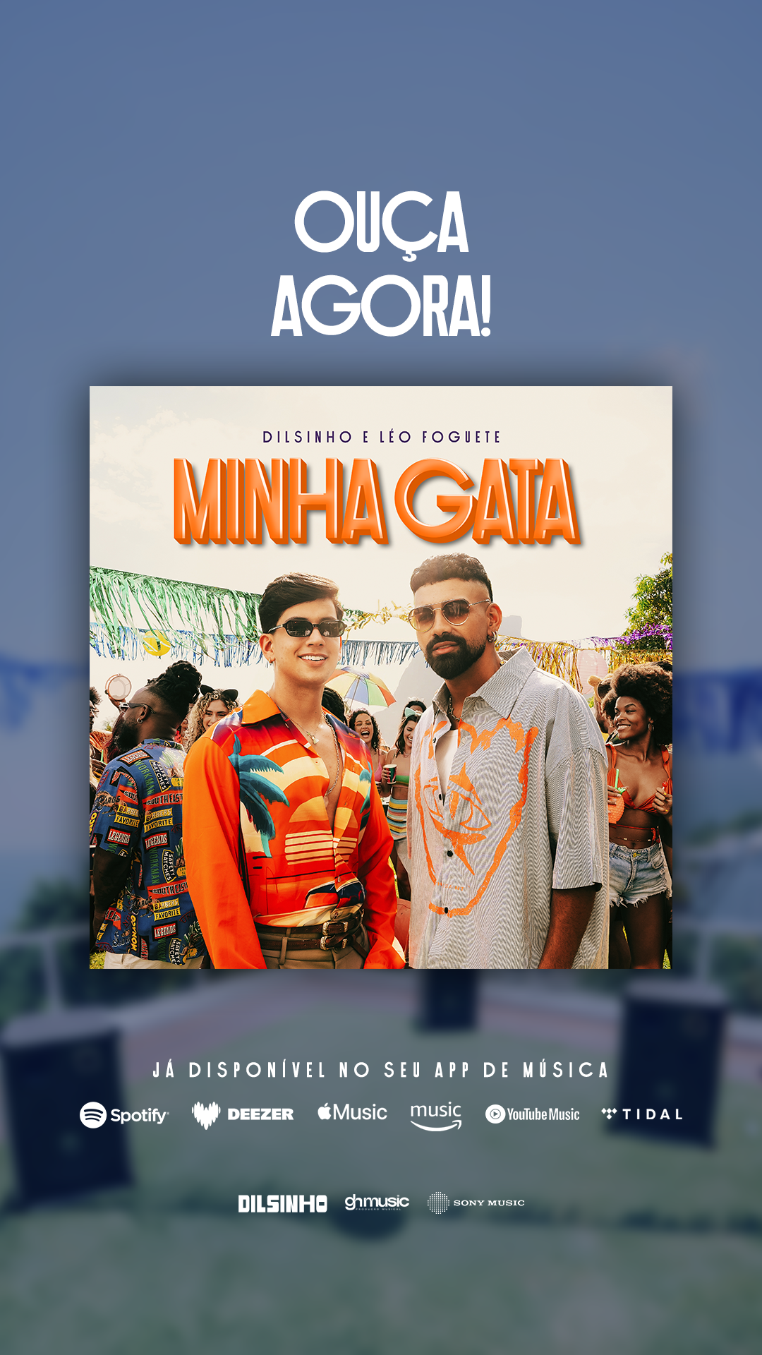 Dilsinho Facebook ad