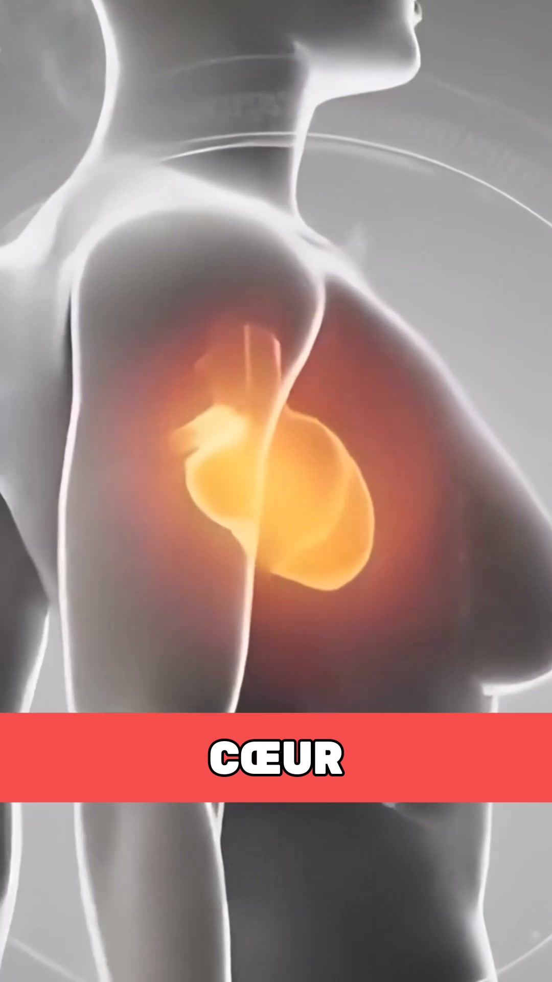 Heartica: Heart Rate Monitor Facebook ad: Connaissez votre cœur, Heartica facilite les choses