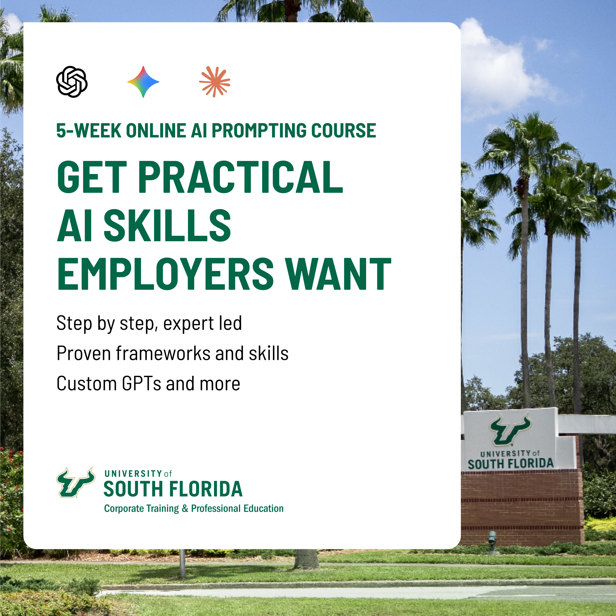 USF Corporate Training and Professional Education Online Certificates Facebook ad