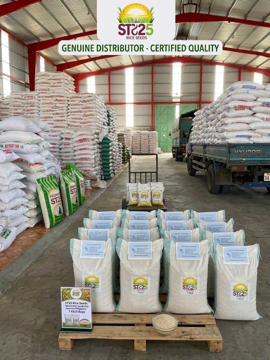 Super ST25 Rice Seed Research Center Facebook ad: ESPESYAL NA PROMO PARA SA MGA MAGSASAKA!