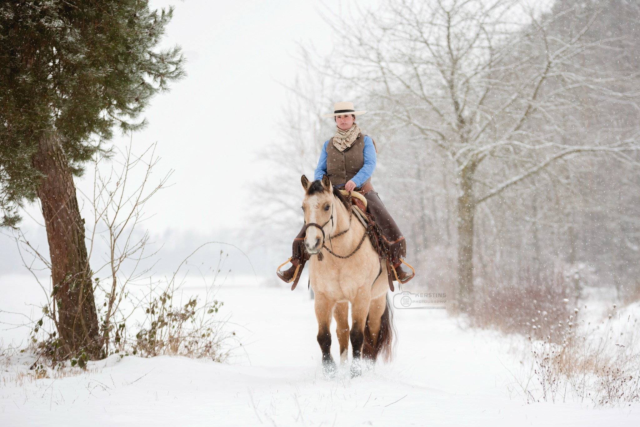 American Quarter Horse Association Facebook ad: American Quarter Horse