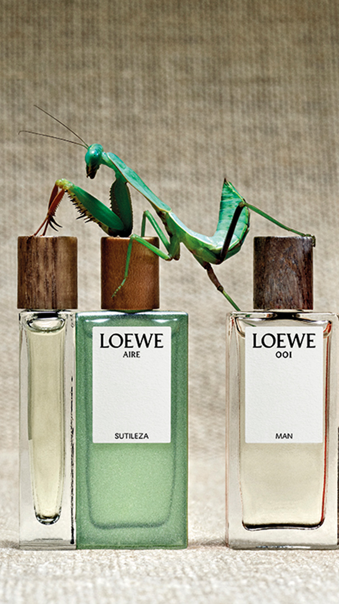 LOEWE Perfumes Facebook ad