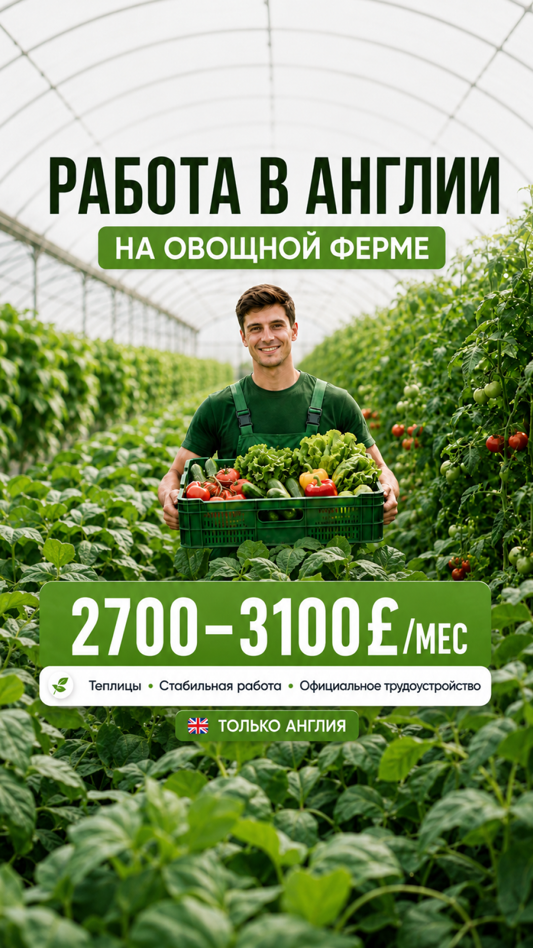Job Bridge Company Facebook ad: Работа в Великобритании, Мечта близко