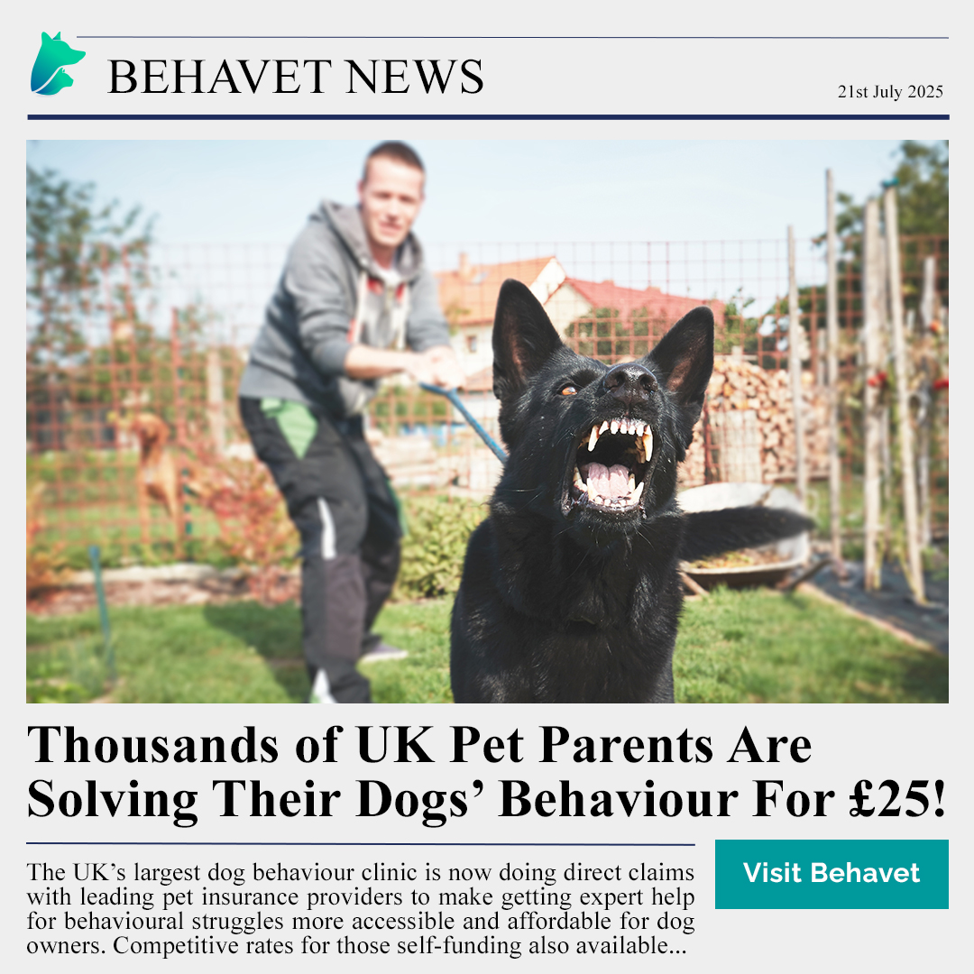 Behavet: The Pet Behaviour Experts Facebook ad