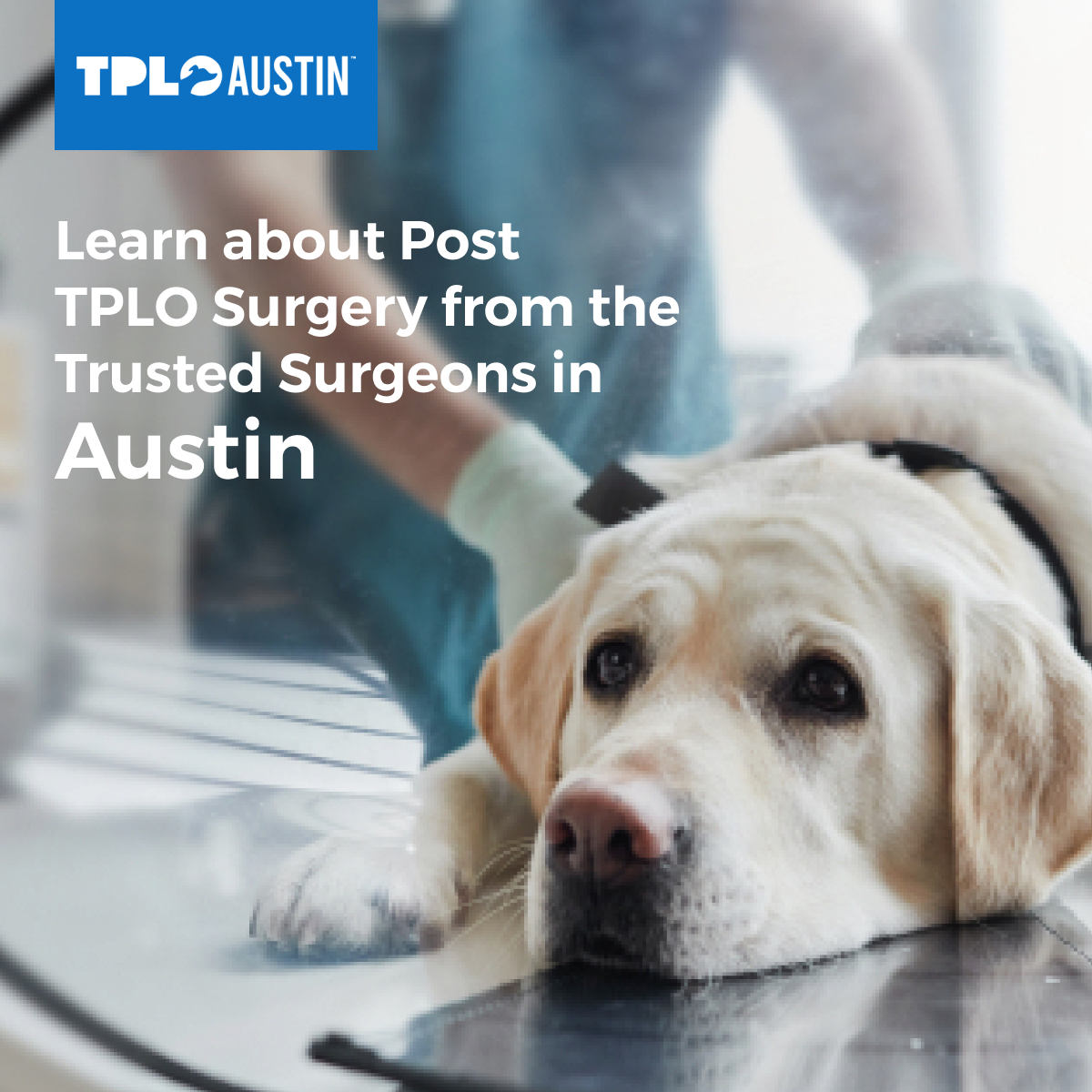 TPLO Austin Facebook ad