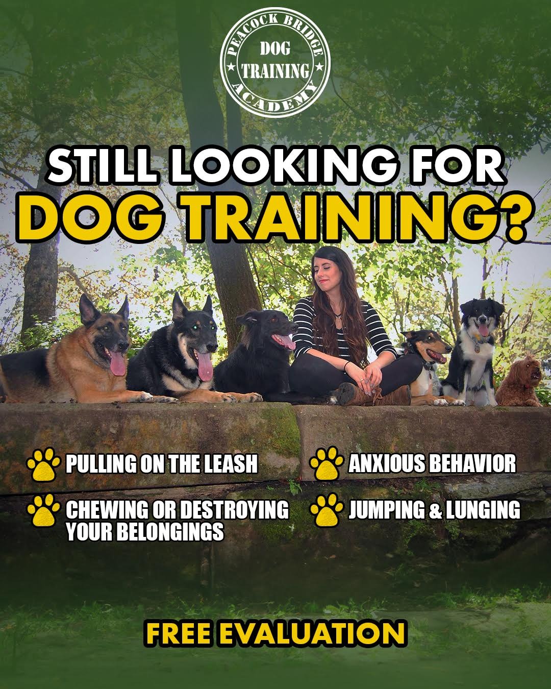 Peacock Bridge Kennels Facebook ad