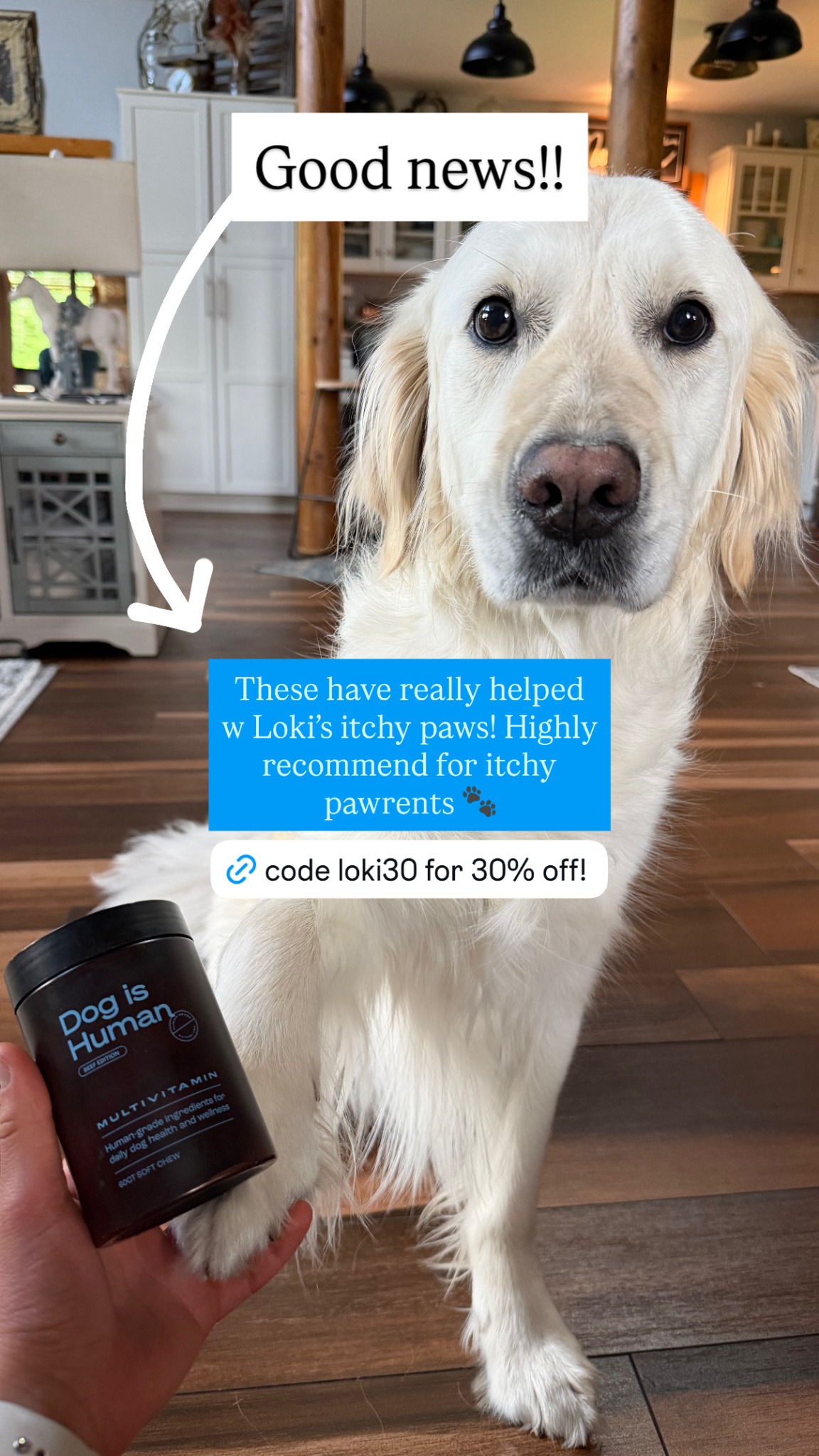 Dog is Human Facebook ad