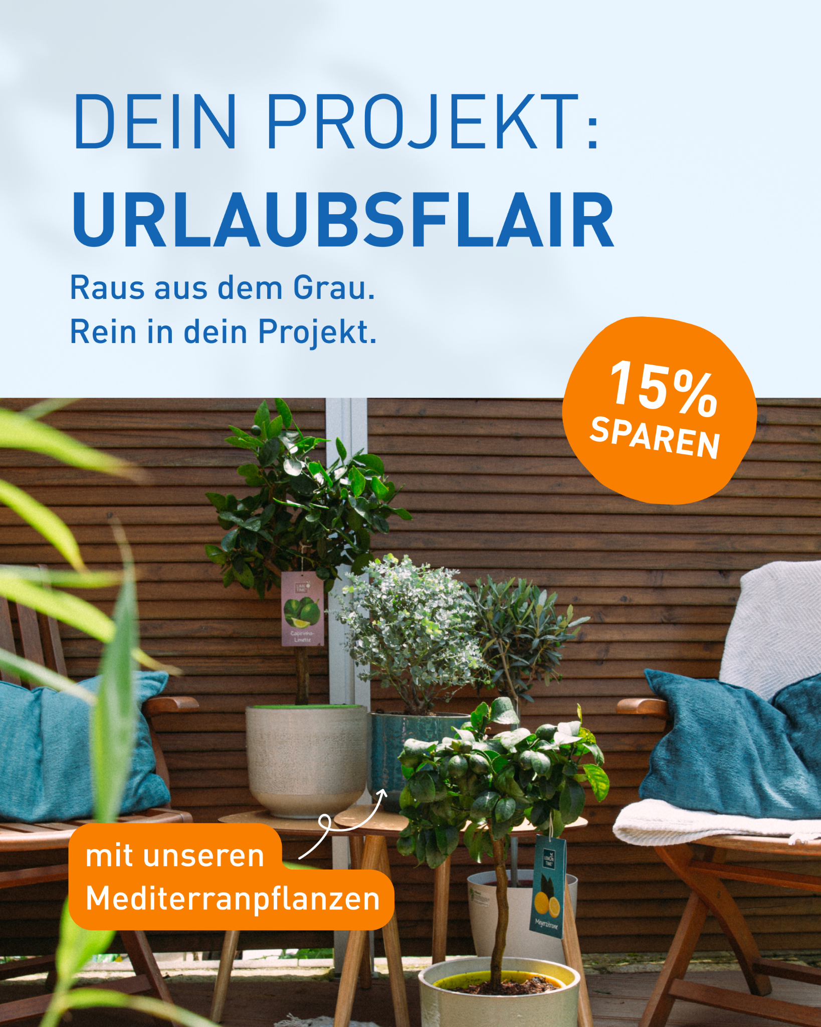 Plantura Facebook ad