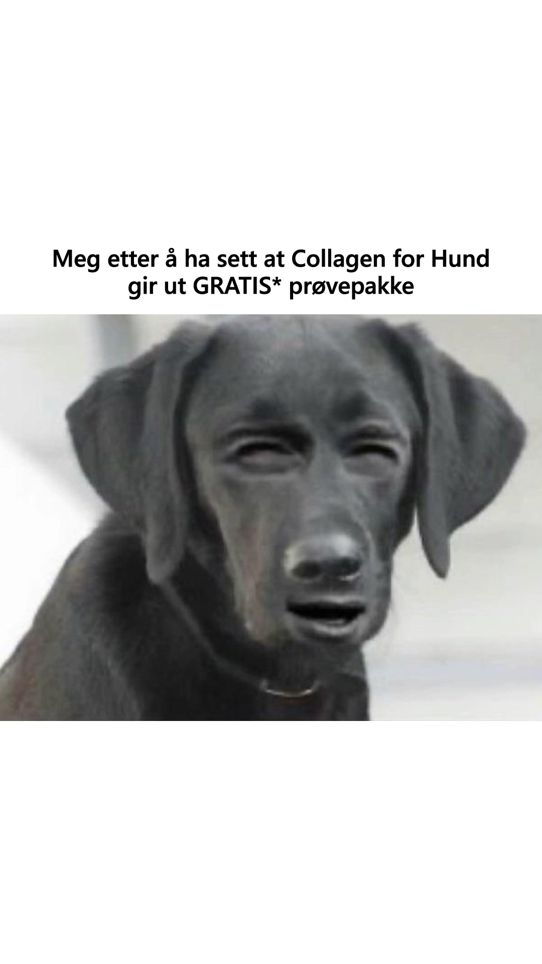 Collagen for hund Facebook ad: Prøv Collagen For Hund gratis!