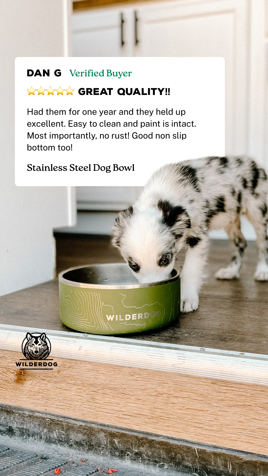 Wilderdog Facebook ad