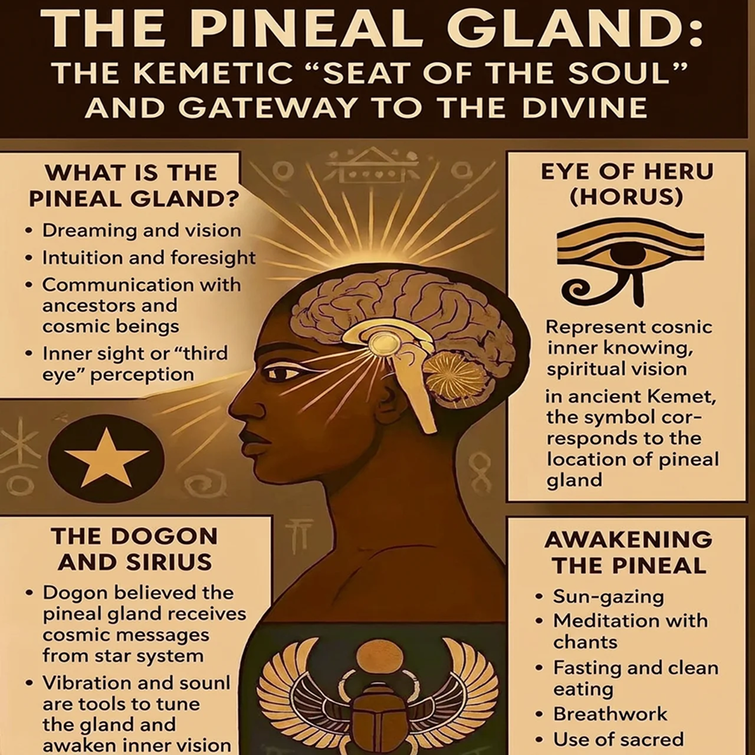 Digestive Wellness Daily Facebook ad: Clear Your Pineal Gland Naturally