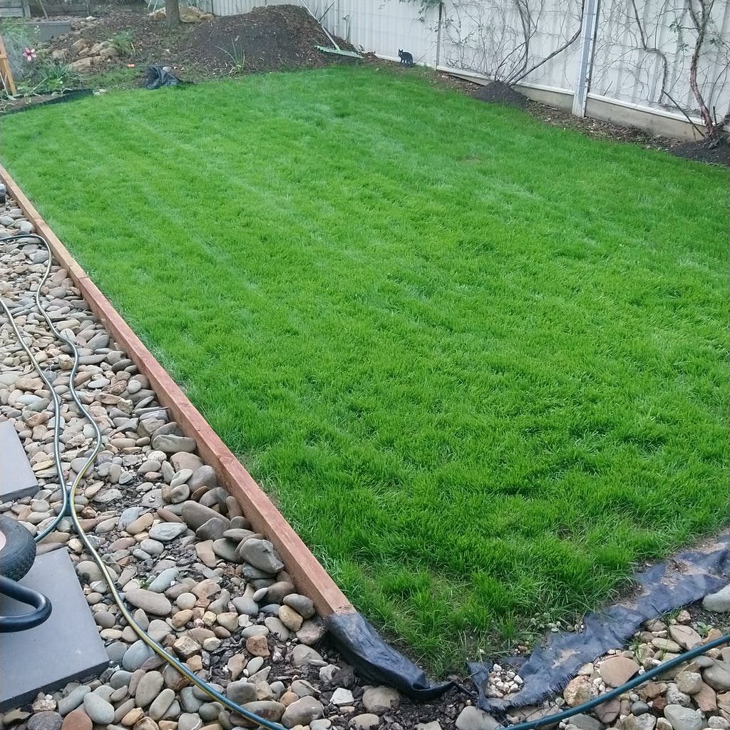 McKays Grass Seeds Facebook ad: Australia's online grass seed store.