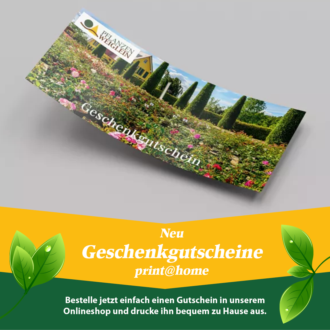 Pflanzen Weiglein Facebook ad