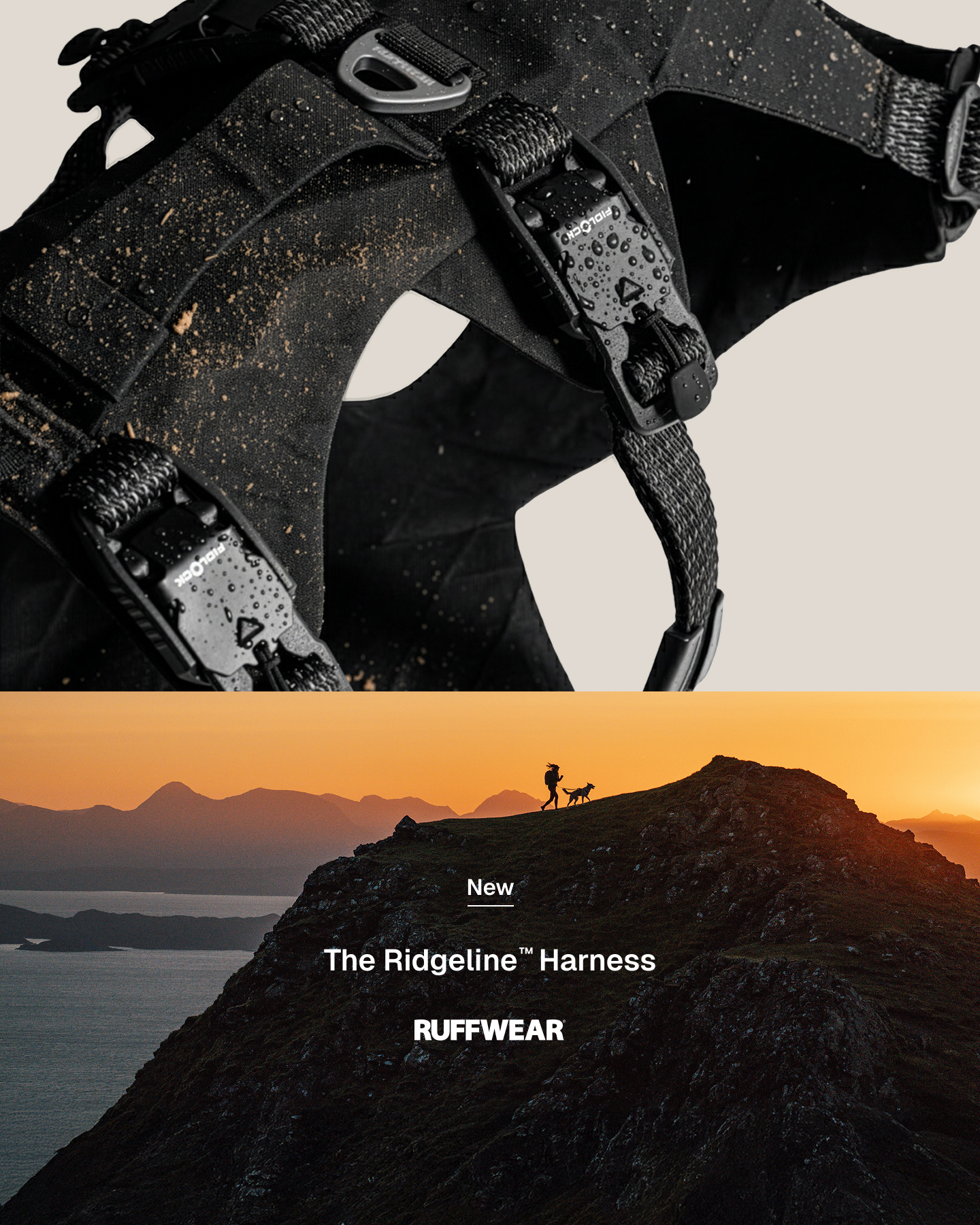 Ruffwear Facebook ad