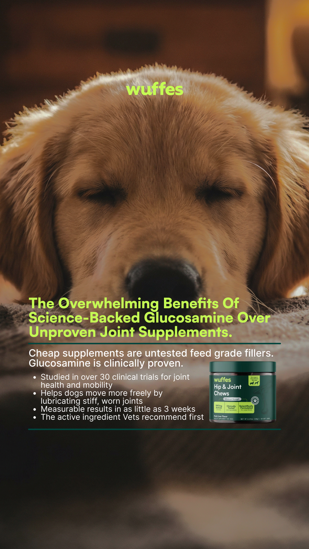 Everyday Pet Health Facebook ad