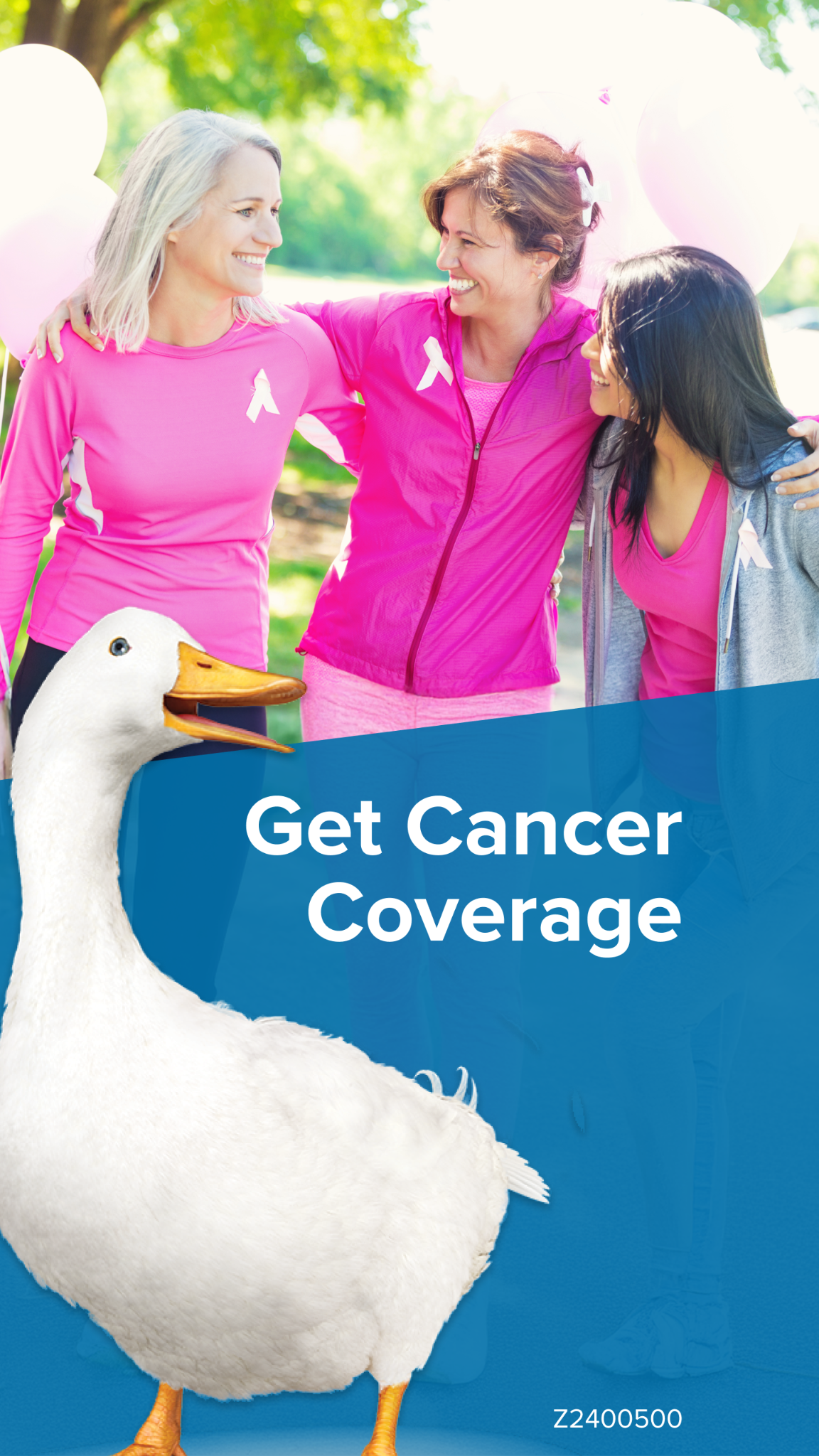 Aflac Duck Facebook ad