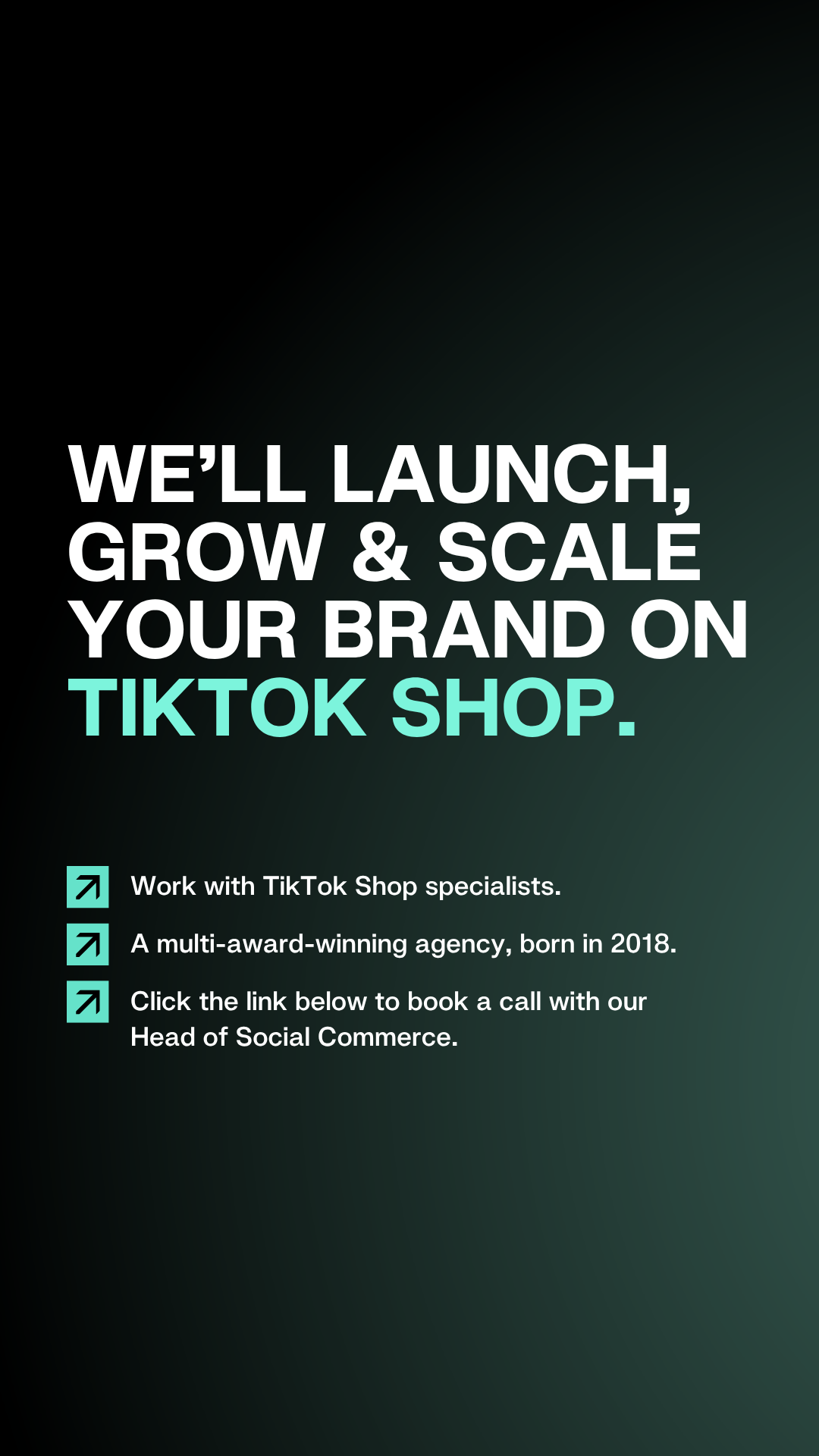 The Social Shepherd Facebook ad: Launch on TikTok Shop