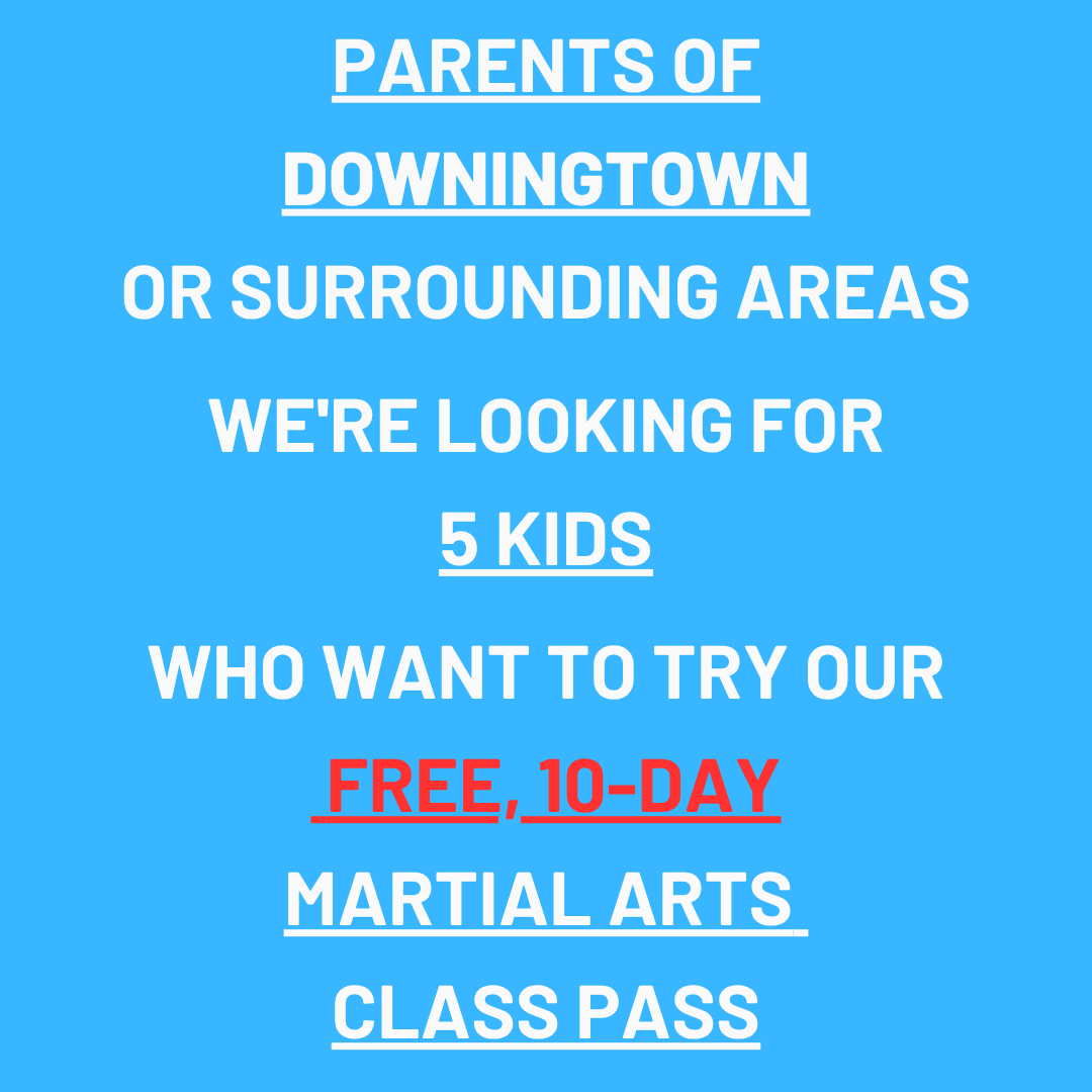 Lupo Taekwondo Facebook ad