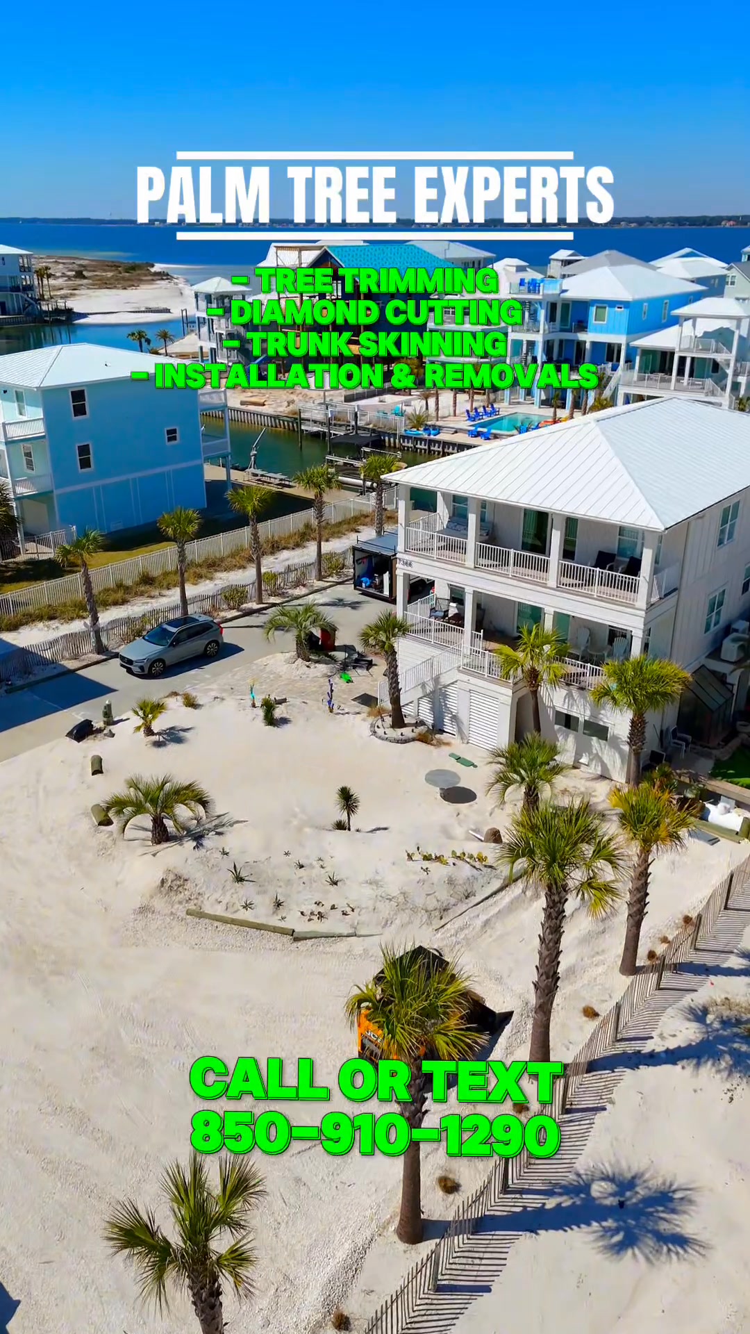 Gulf Coast Palms Facebook ad: From Messy Palms To Clean Luxury Curb Appeal