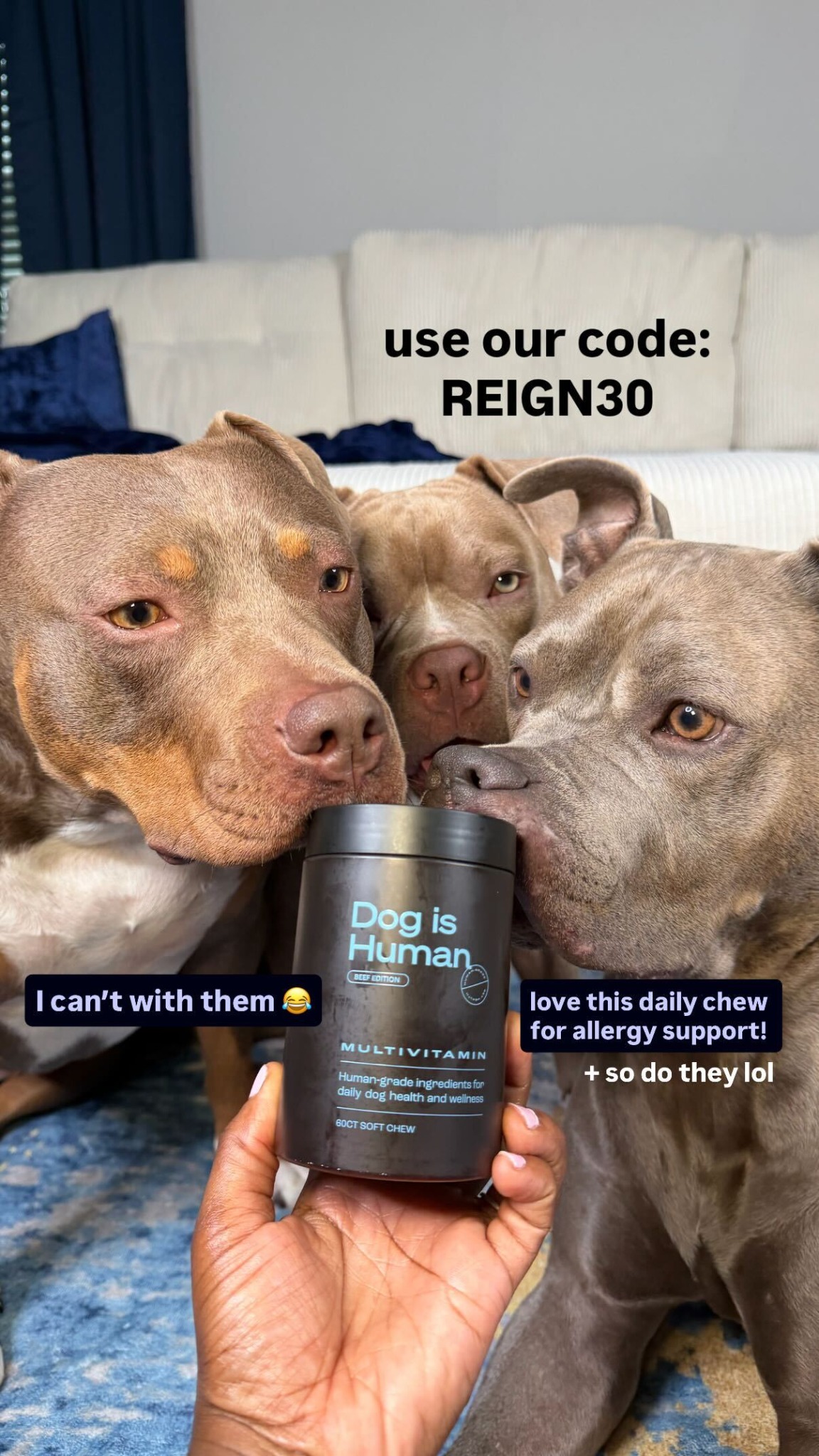 Dog is Human Facebook ad