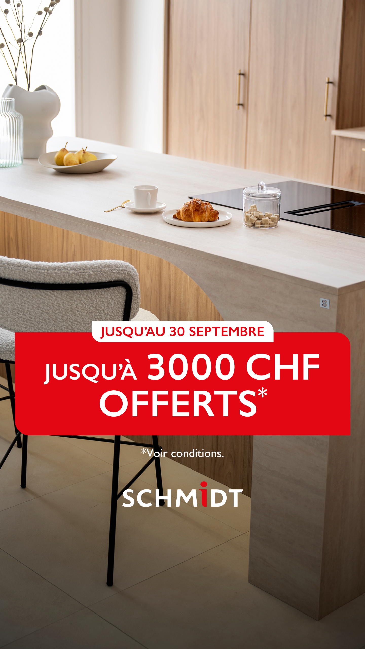 Schmidt Facebook ad