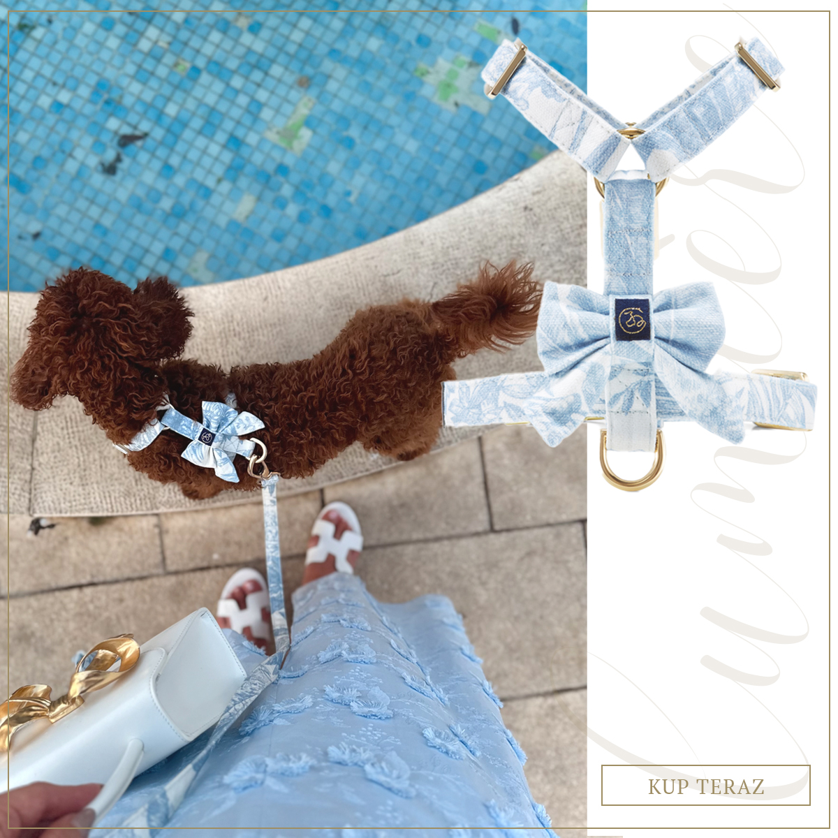 Oh Charlie - luxury pet accessories Facebook ad