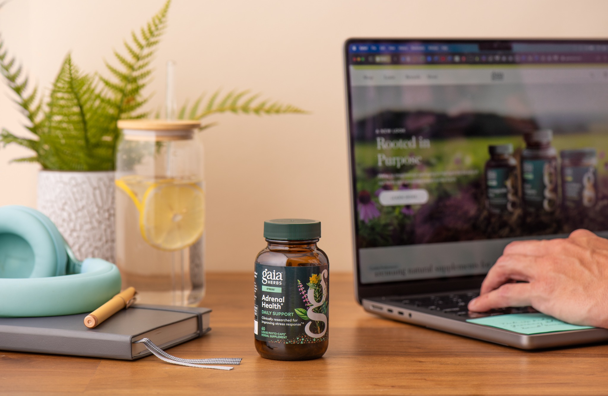Gaia Herbs Facebook ad