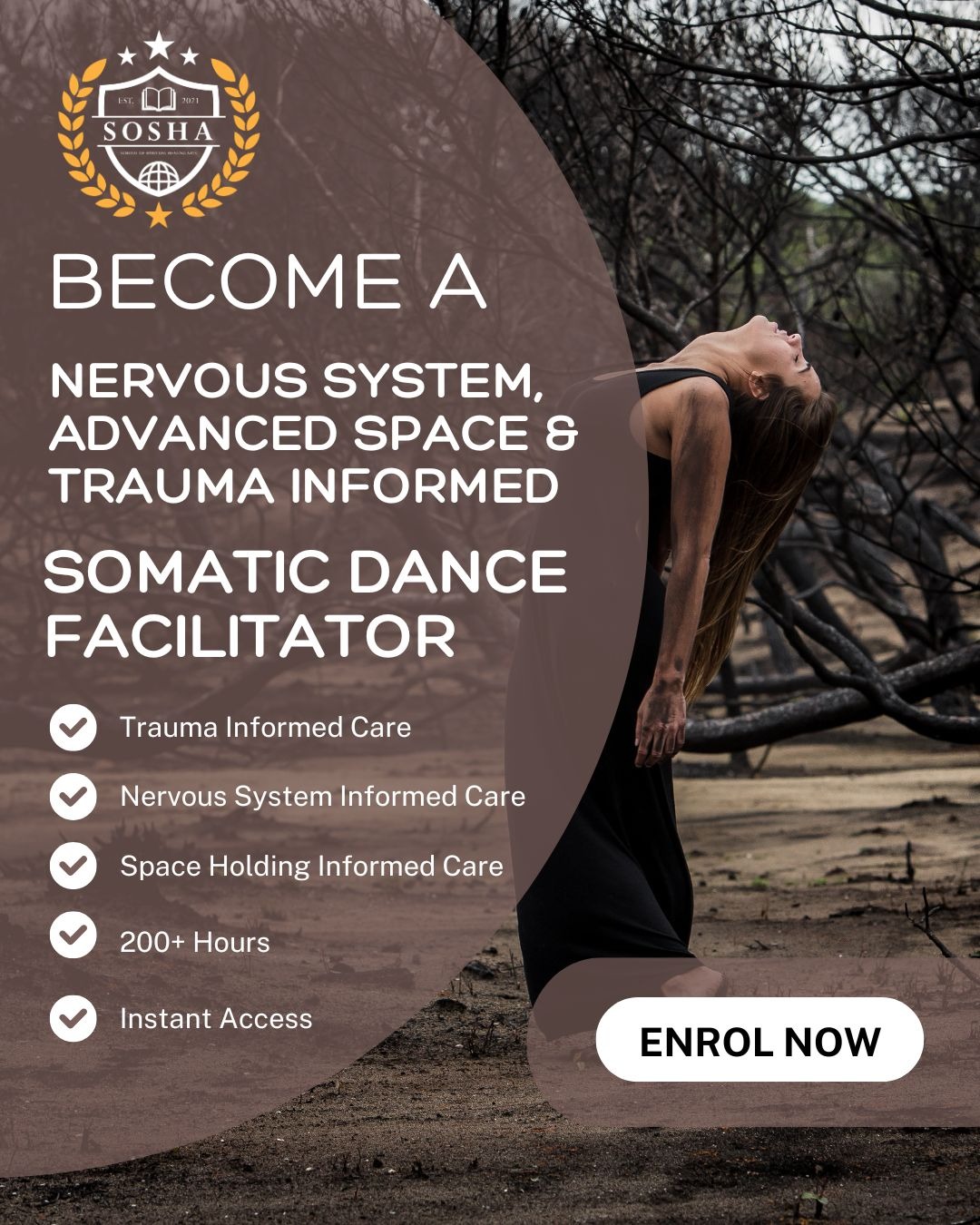 School of Spiritual Healing Arts Facebook ad