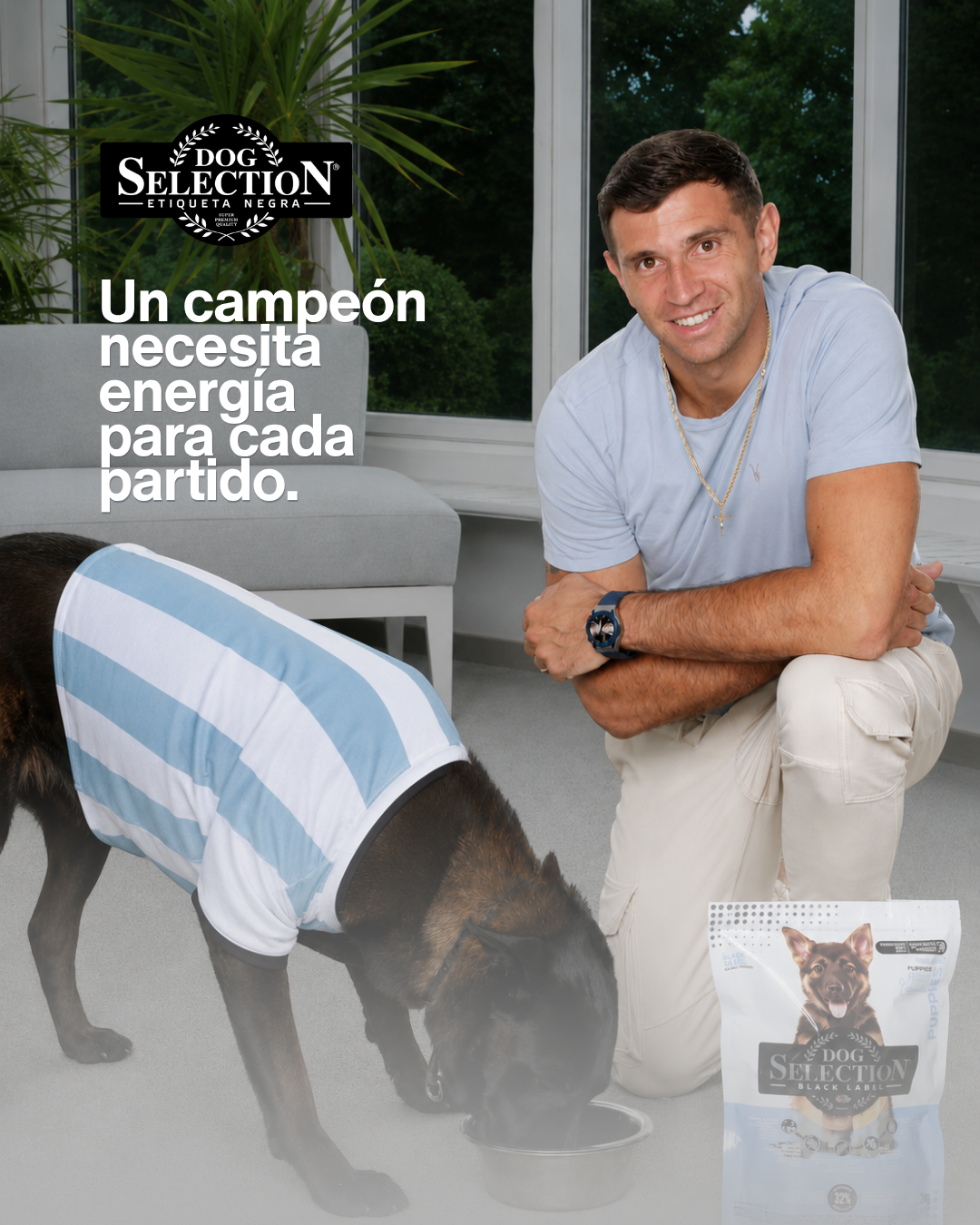 Dog Selection Facebook ad: Pasion por la nutrición