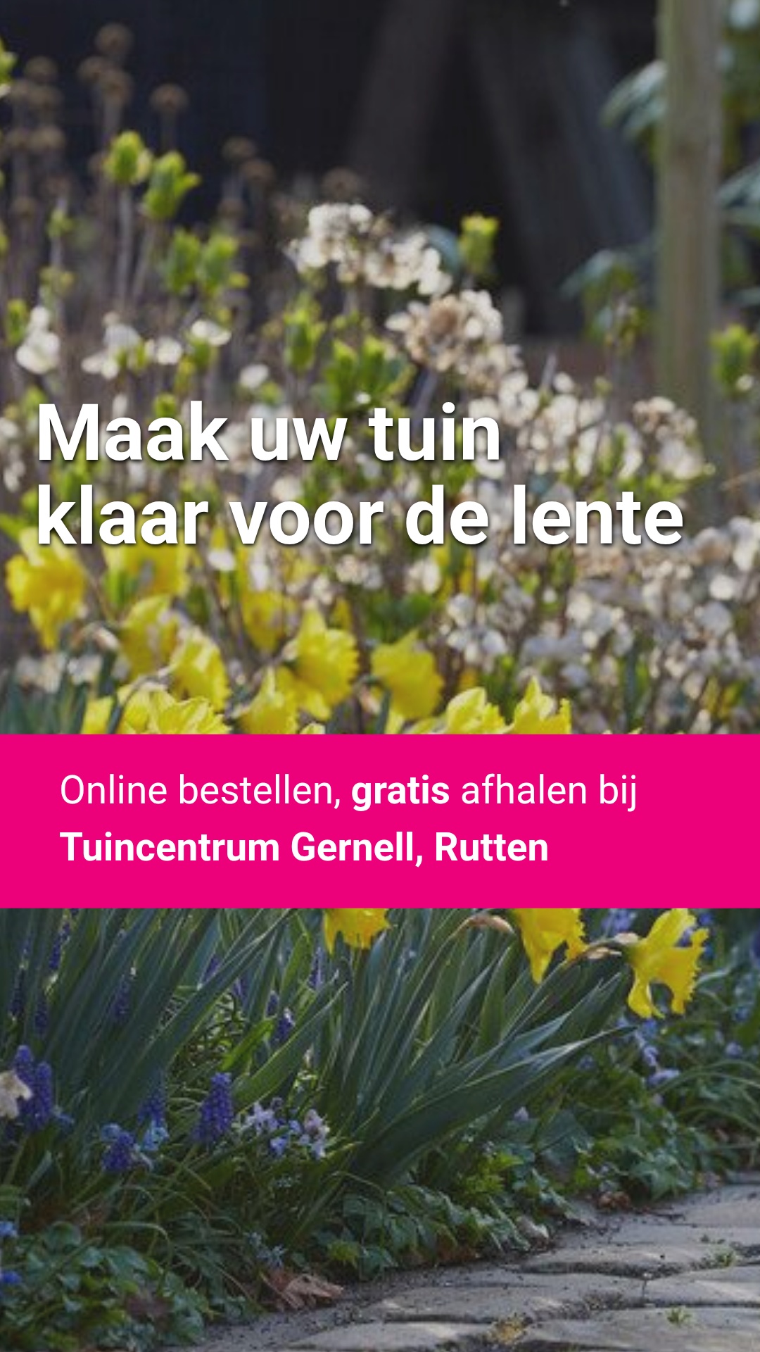 Directplant Facebook ad