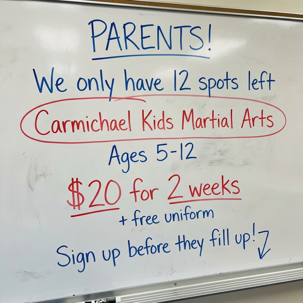 Carmichael Academy - Family Taekwondo Facebook ad: Family Martial Arts!