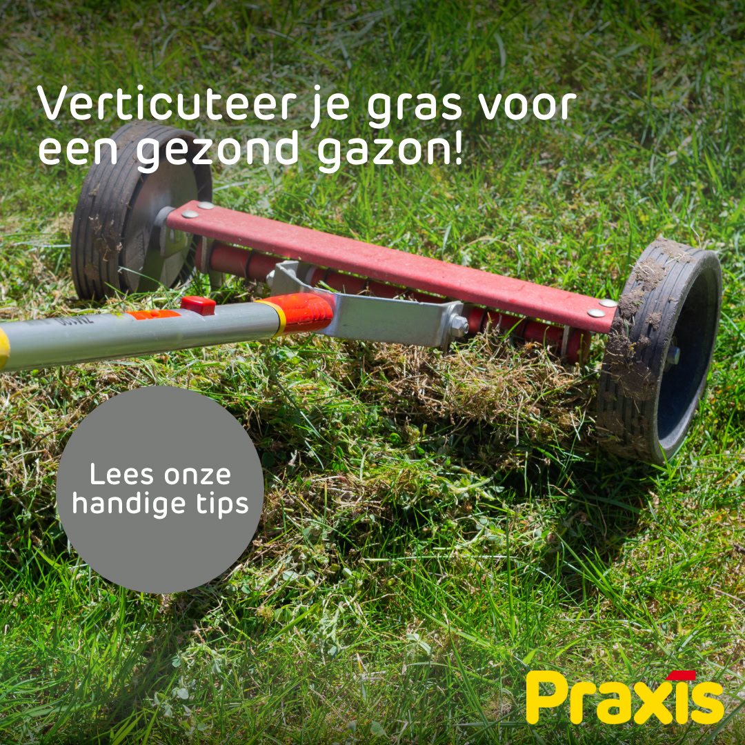Praxis Bouwmarkt Facebook ad