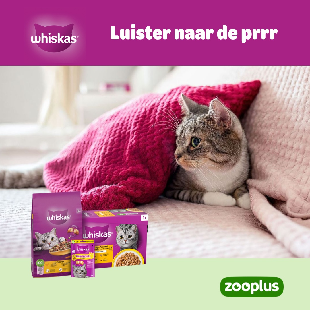 zooplus Facebook ad: WHISKAS