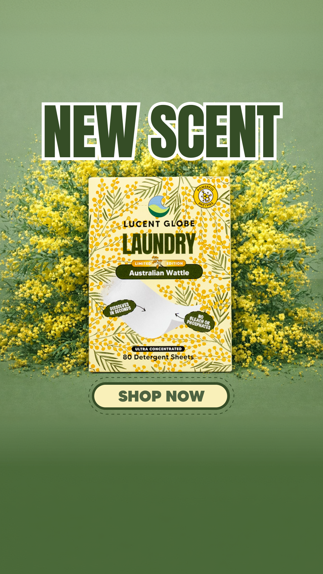 Lucent Globe Facebook ad