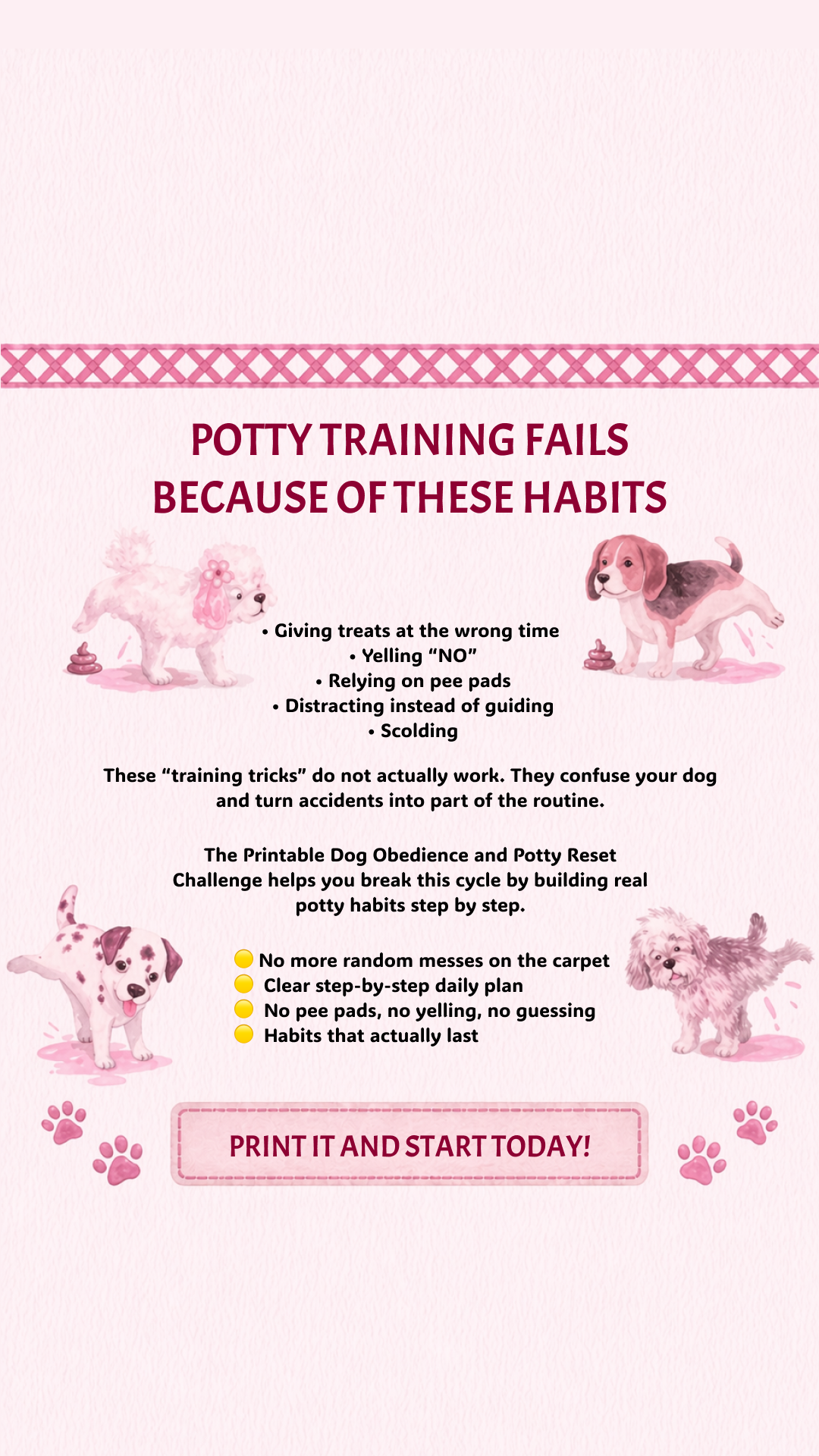 Petcube Facebook ad