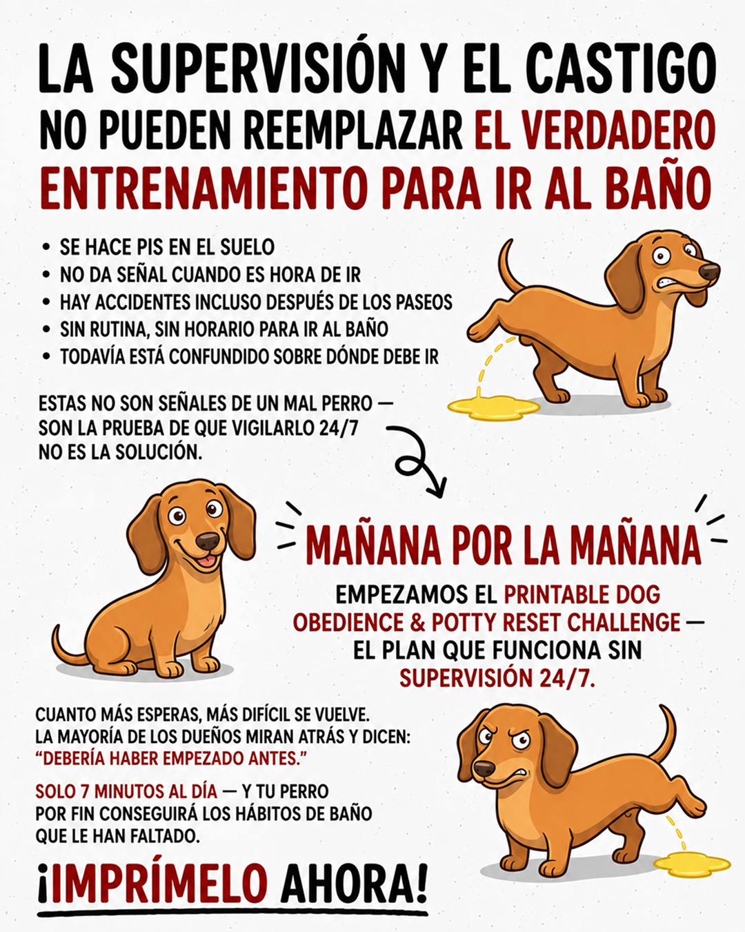 Ben Your Puppy Trainer Facebook ad