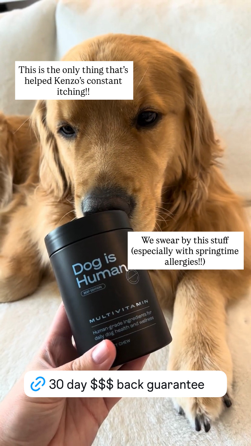 Dog is Human Facebook ad