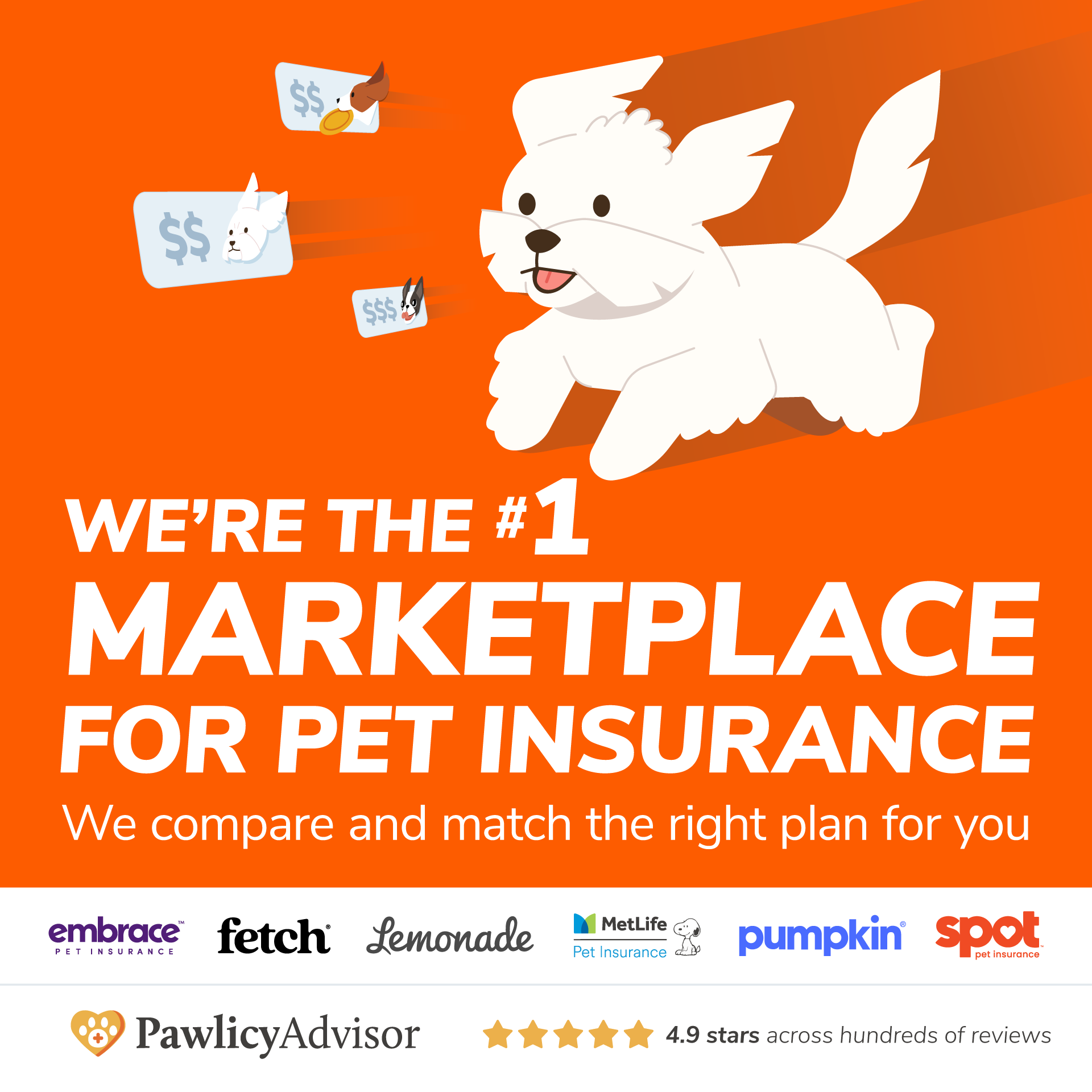 Pawlicy Advisor Facebook ad