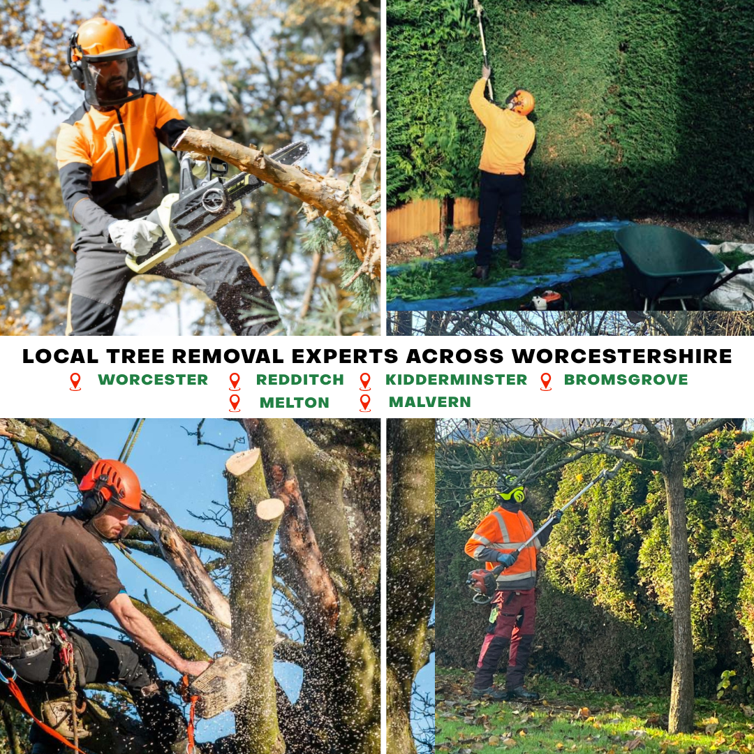 Worcestershire Tree Removal Facebook ad from Jan 8, 2026