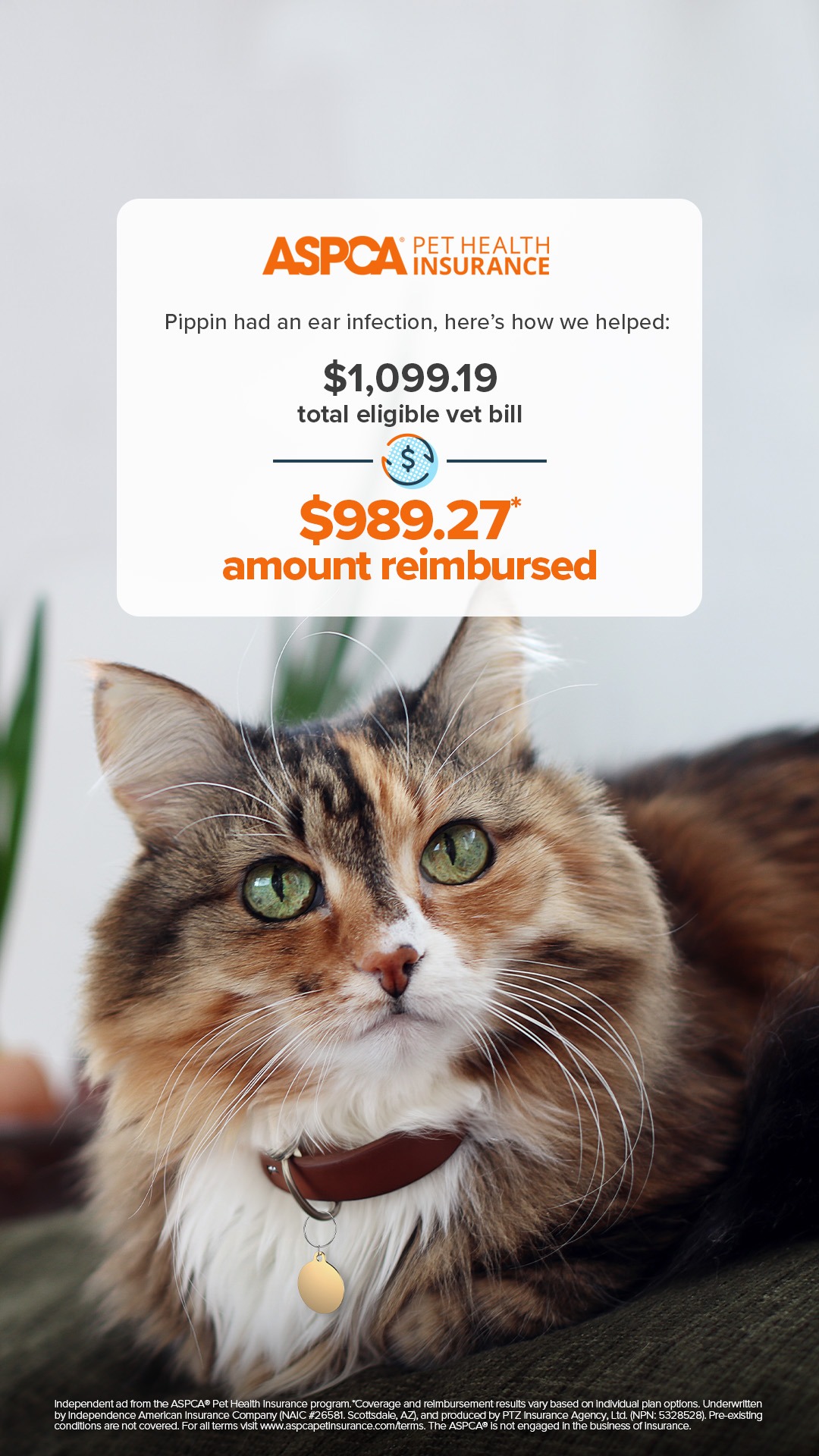 ASPCA Pet Health Insurance Facebook ad