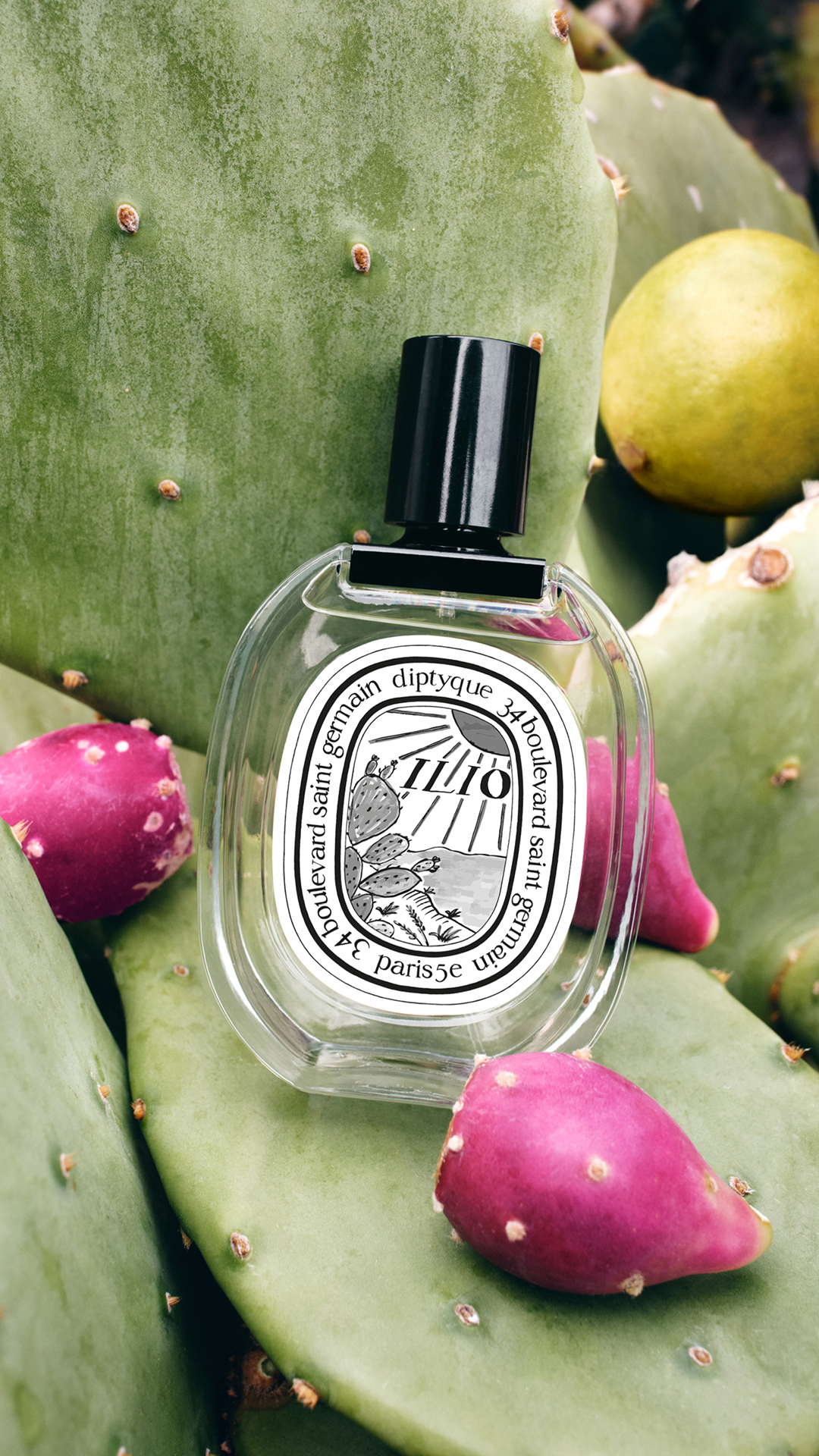diptyque Facebook ad