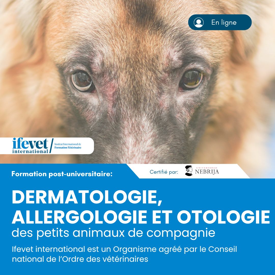 Ifevet - France Facebook ad