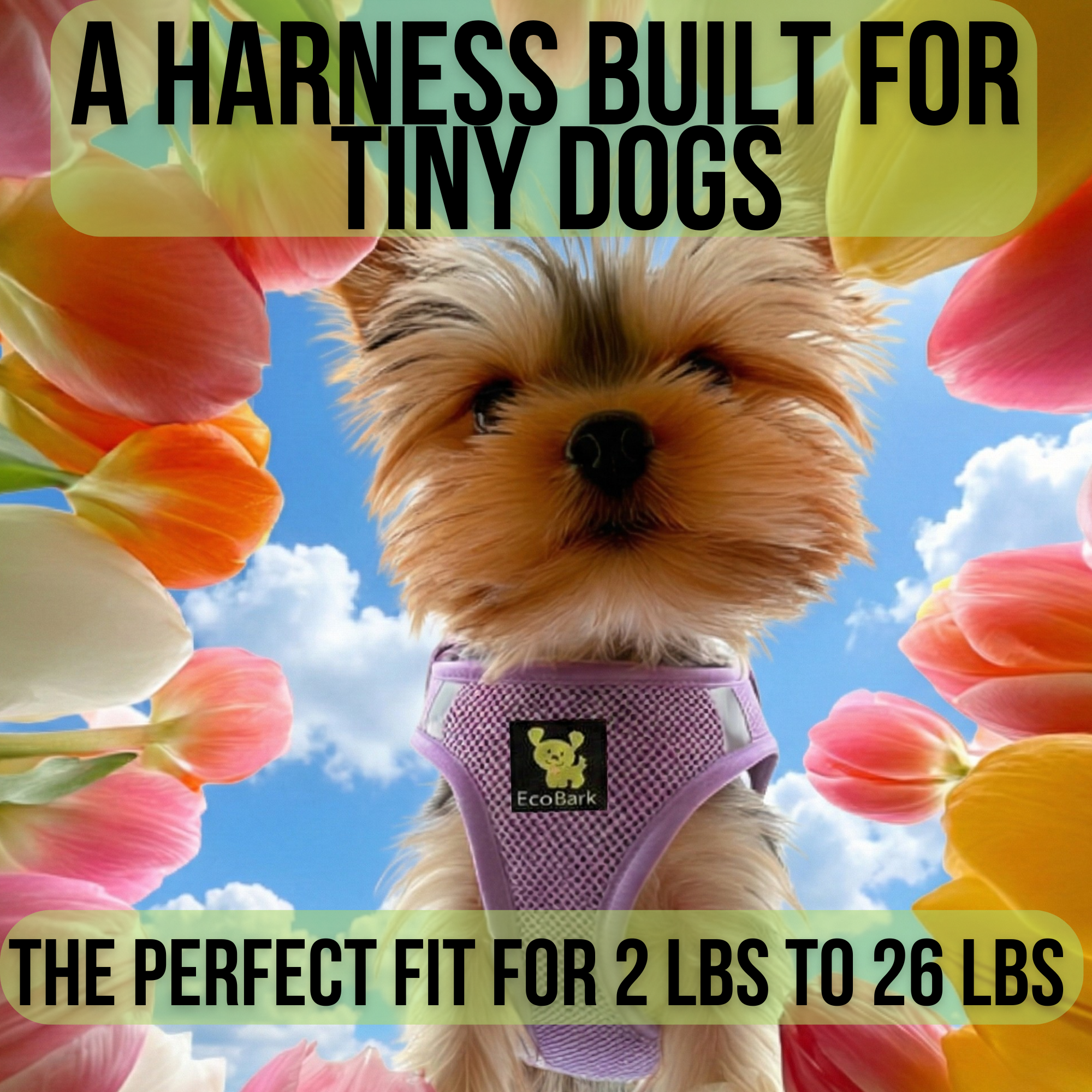 EcoBark Pet Supplies Facebook ad
