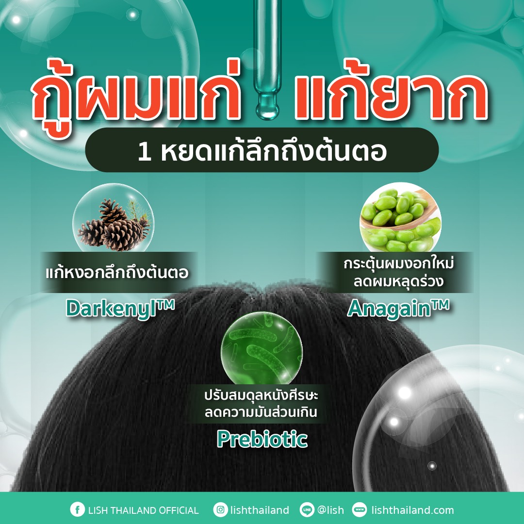 LISH Thailand Official Facebook ad