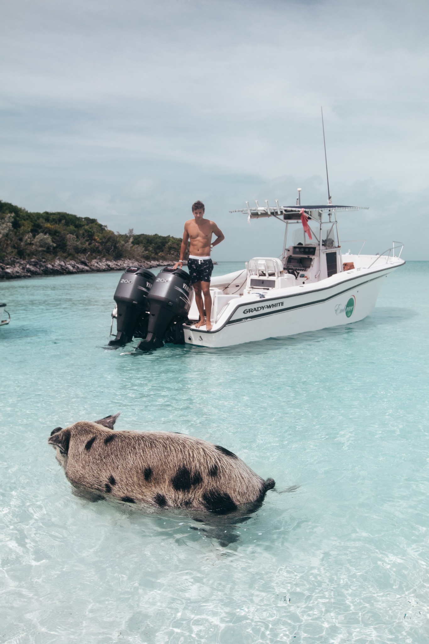 3N's Exuma Vacations Facebook ad: Experience Swimming Pigs | Book Today