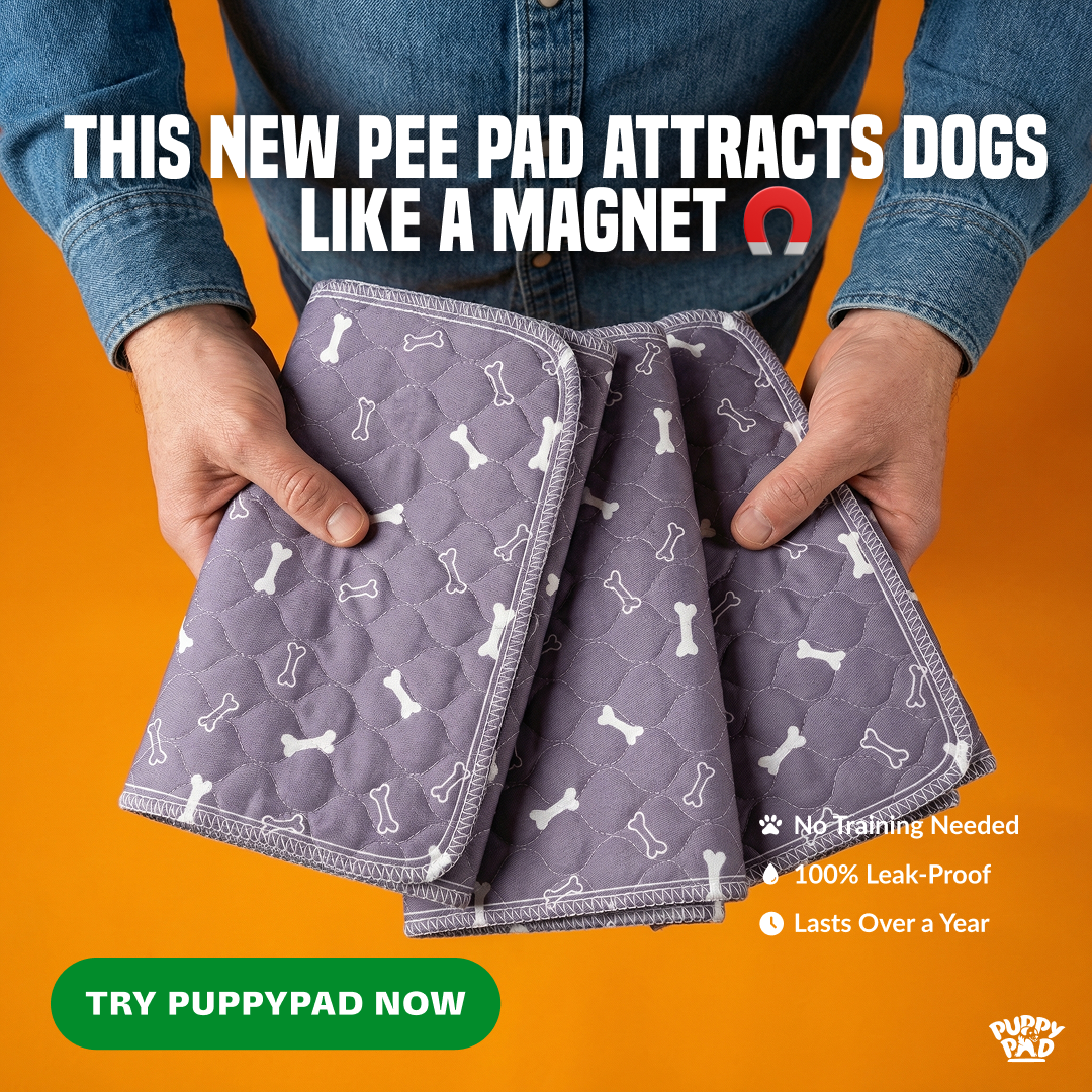 PuppyPad Facebook ad