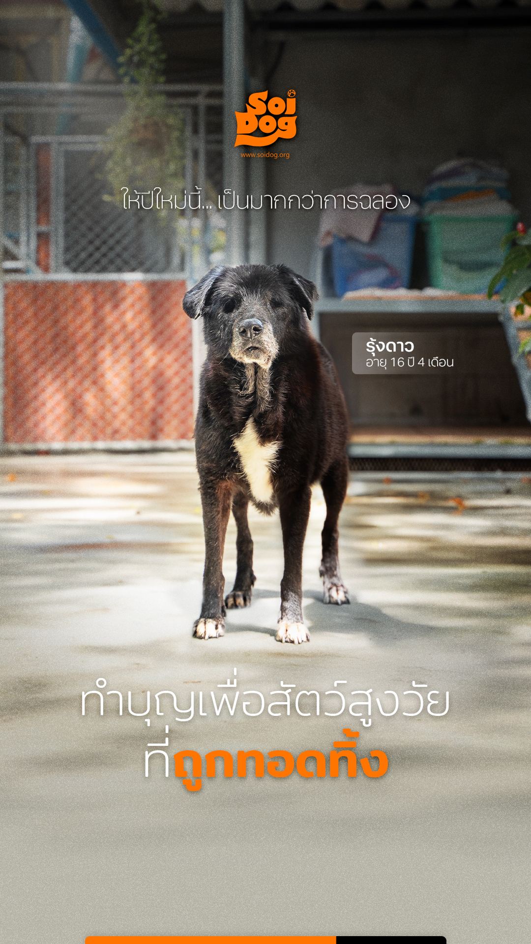 มูลนิธิเพื่อสุนัขในซอย, ประเทศไทย (Soi Dog - in Thai) Facebook ad